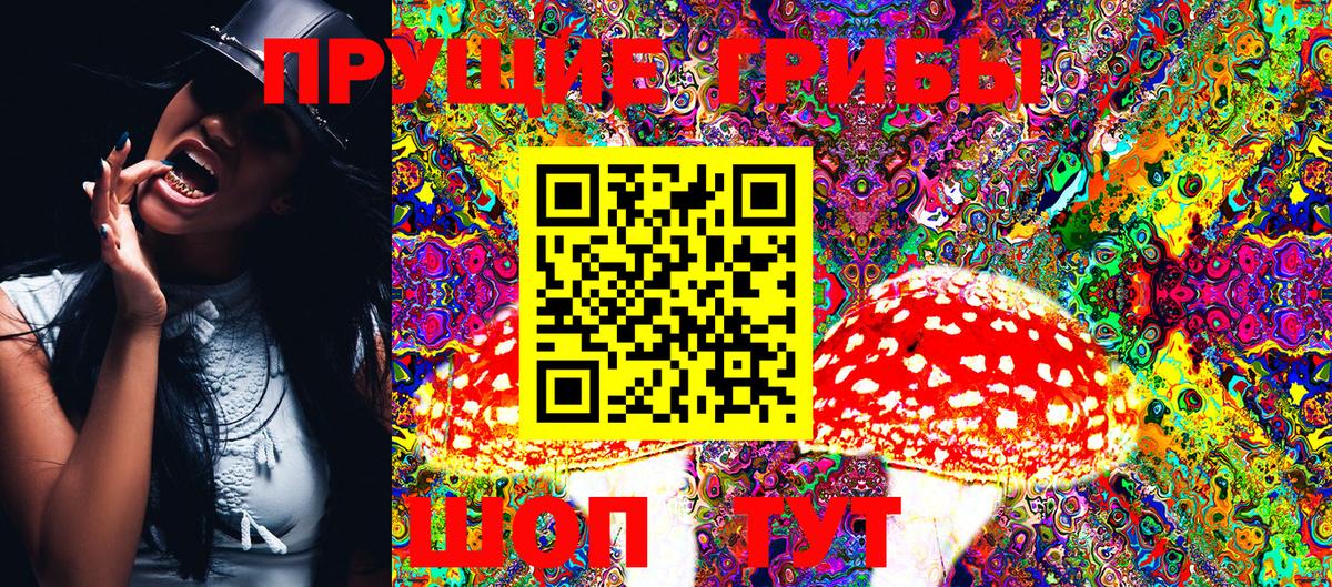 Галлюциногенные грибы MAGIC MUSHROOMS  Вход с VPN  Белорецк 