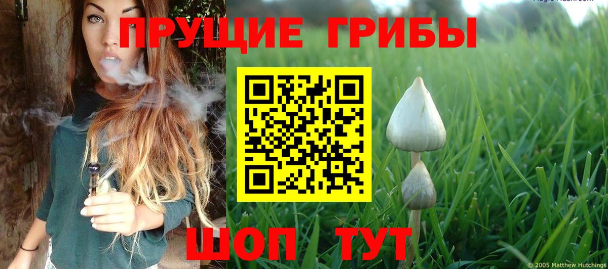 Псилоцибиновые грибы мухоморы Белорецк